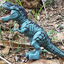 Children Toys Amazing Spray Electric Walking Dinosaur Toy Tyrannosaurus Rex Lay Eggs Lights Roar Sounds Kids Boy Birthday Gifts