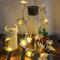 Battery Powered 3M 5M Frangipani Shaped Warm White Fairy String Light for Christmas Party