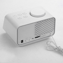 Multifunction Digital Electronic Alarm Clock Real-time Temperature FM Radio Snooze Mode with Dual USB Port