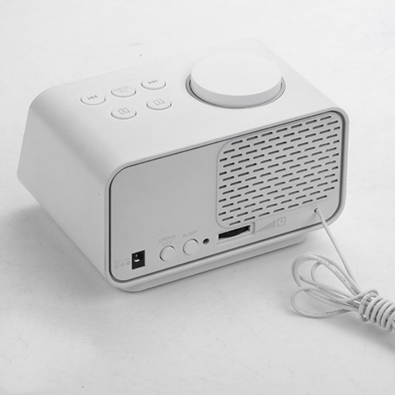 Multifunction Digital Electronic Alarm Clock Real-time Temperature FM Radio Snooze Mode with Dual USB Port