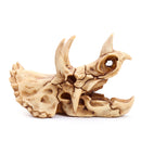 Resin Model Triceratops Dinosaur Skull Head Teaching Bone Collectible Craft Gift Decorations