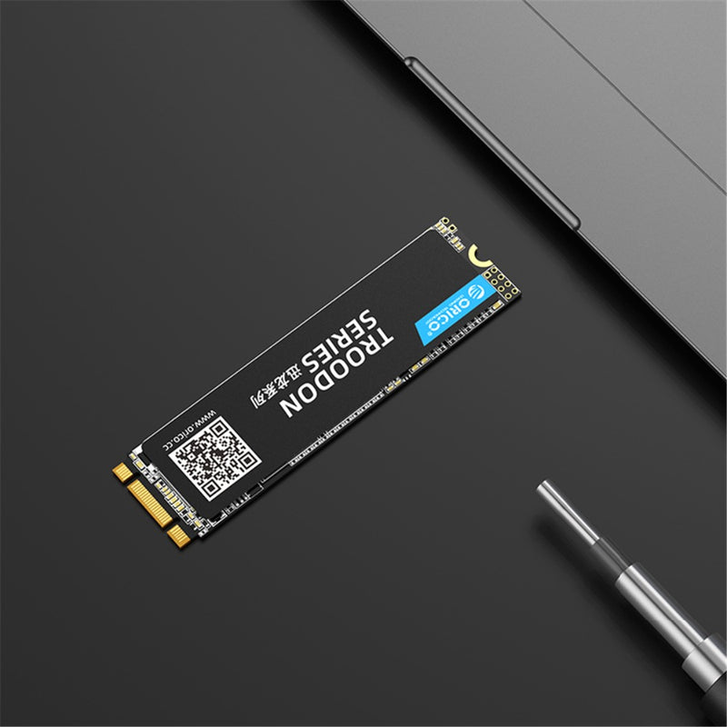 ORICO TROODON N300 Series M.2 NGFF SATA 3.0 SSD Solid State Drive 3D NAND 128G 256G 512G 1T Hard Drive R/W at 560/516 MB/s
