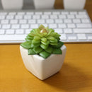 Simulation Mini Plant Small Potted Four Colors Optional