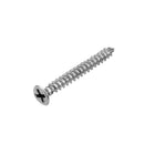 Drillpro 5pcs Magnetic PH2 Screwdriver Bit Set with Removable Magnetizer Ring