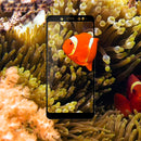 MOFI 9H Diamond Anti-Explosion Full Cover Tempered Glass Screen Protector For Xiaomi Redmi Note 5