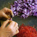 Egrow 1000Pcs/Pack Saffron Seeds Outdoor Flower Bonsai Iran Saffron Potted Plant For Home Garden Planting