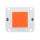 DC12V-14V 50W COB LED Chip White / Warm White / Full Spectrum Plant Grow Light DIY for Indoor