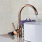 TAPCET Red Copper Antique Kitchen Basin Sink Faucet Hot&Cold Water Mixer Tap