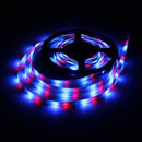 5M 24W DC12V 300 SMD 2835 Waterproof White/Warm White/Blue/Red/Green/RGB LED Flexible Strip light