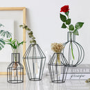 3D Nordic Metal Vase Glass Tube Hydroponic Plant Container Ornaments Home Decor