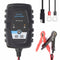 FOXSUR 6V 12V 1A Automatic Smart Battery Charger Maintainer  With SAE Line For Car Motorcycle Scooter Deep Cycle AGM GEL VRLA