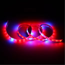 1M SMD5050 Red:Blue 5:1 Full Spectrum LED Grow Strip Light  Hydroponic Greenhouse Plant DC12V