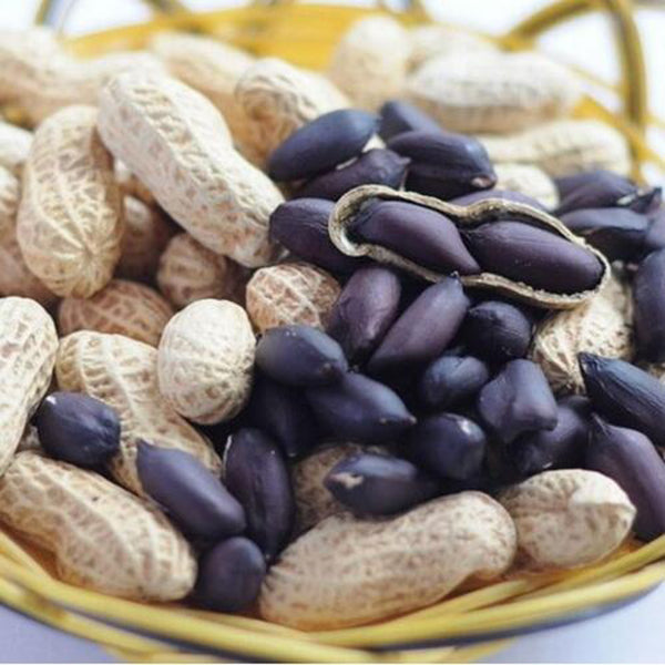 Egrow 10Pcs/Pack Black Peanut Seeds Organic Fruit Vegetable Home DIY Snacks Plants Seeds