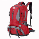 Outdoor 40L Climbing Backpack Mountaineering Travel Shoulder Bag Waterproof Nylon Pack