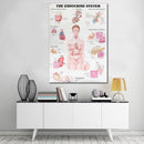 60x80cm The Endocrine System Poster Anatomical Chart Woman Body Educational Medical