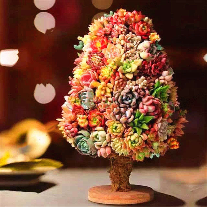 Egrow 200 Pcs/Pack  Succulent Seeds Rare Succulent Plante Flower Bonsai Living Stone Bonsai Mini Garden Plant.