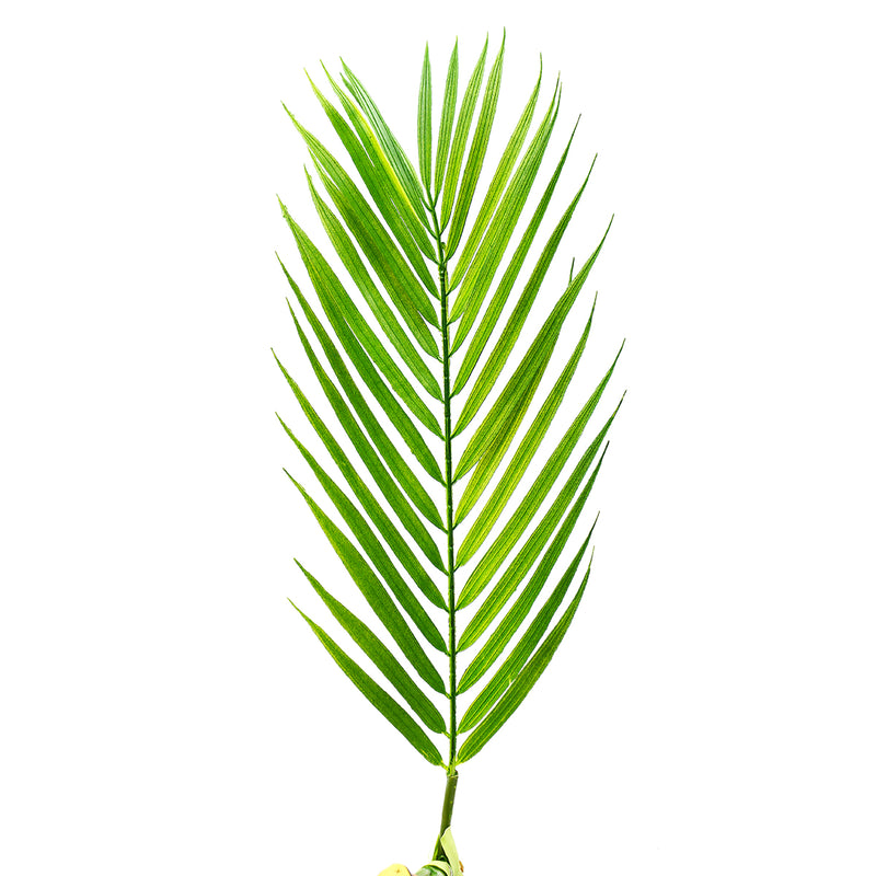 6/9 Branches Green Palm Leaves Plastic Fake Plant Artificial Leaf Home Adornment Decorations
