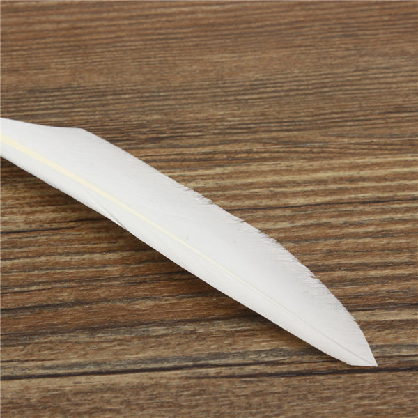 Retro Goose Feather Quill Pen Metal Nib Dip Writing Black Ink Set Collectable