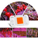 LUSTREON 20W 30W 50W Full Spectrum COB LED Grow Light Chip DIY For Indoor Plant Hydroponice AC220V