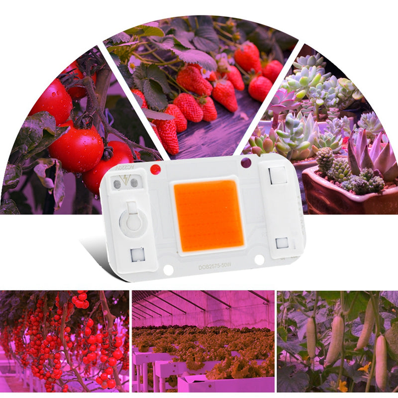 LUSTREON 20W 30W 50W Full Spectrum COB LED Grow Light Chip DIY For Indoor Plant Hydroponice AC220V