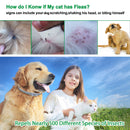 Anti Flea Dog Cat Collar Ticks Mosquitoes Outdoor Protective 8 Months Protection
