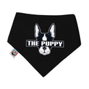 Pet Dog Cotton Personalized Collar Summer Winter Pet Bids Puppy Watermelon Collar