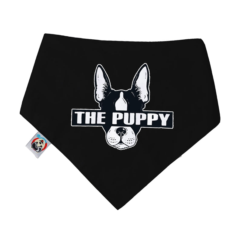 Pet Dog Cotton Personalized Collar Summer Winter Pet Bids Puppy Watermelon Collar