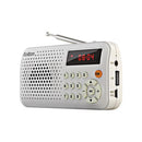 Rolton T30 Portable Mini FM Radio Speaker Music Player TF Card USB With LED Display