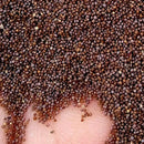 Egrow 100Pcs/Bag Petunia Seeds Rare Variety Hardy Lasting Balcony Yard Flowers Seeds Easy to Grow