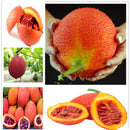Egrow 10 Pcs/Pack Bitter Melon Seeds Fruit Bonsai Momordica Cochinchinensis Bonsai Spreng Cochinchin Gourd Non-GMO Fruit Plant