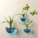 Creative Wall Hanging Transparent Glass Vase Hydroponic Living Room Home Decor