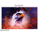 50X75CM Owl Modern Art Painting Abstract Print Picture Kit Wall Home Decor No Frame