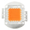 20W 30W 50W 30mil Full Spectrum LED Grow Chip DIY for Indoor Plant DC12-14V