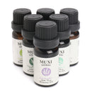 6Pcs Pure & Natural Essential Oil Humidifier Aromatherapy Fragrance 10ml Set