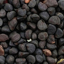 Egrow 20Pcs/Pack Venice Blue Morning Glory Seeds Home Garden Decoration Flower Seeds