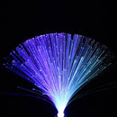 Multicolor Changing LED Fiber Nightlight Lamp Small Night Light Colorful Fiber Optic Lamp