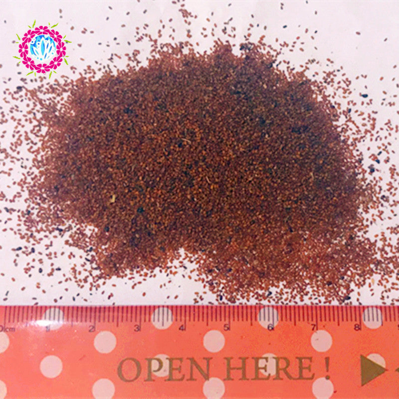 Egrow 100Pcs/Pack Mini Blue Succlent Seeds Monilaria Obconica Rabbit Living Lithops Flowers Seeds