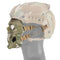 WoSporT Skull Airsoft Paintball Mask Full Face Tactical Halloween Party Mask