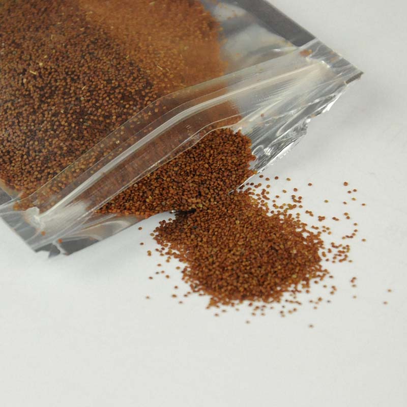 Egrow 1000Pcs/Pack Aquarium Grass Seeds Aquatic Fish Tank Decor Water Plants Seeds