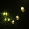 10 LED Festival String Lantern Hanging Lamp Party Patio Home Decorative Night Light