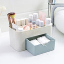 Multi-functional Plastic Cosmetic Storage Box Jewelry Box With Small Drawer Desk Sundries Storage Co