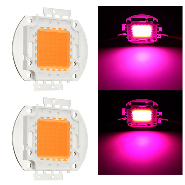 20W 30W 50W 30mil Full Spectrum LED Grow Chip DIY for Indoor Plant DC12-14V