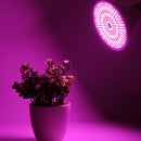E27 Full Spectrum 290 LED Grow Light Bulb With Desk Holder Clip for Indoor Plant Flower Vegetable
