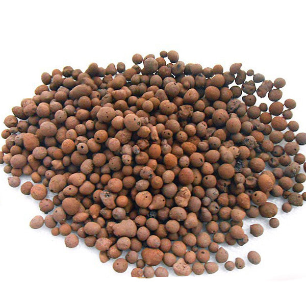 9 Holes Plastic Seedling Box Planter with Mixture Soil Kit for Succulent Plant Sowing