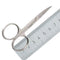 Stainless Steel Manicure Scissors Cutter Eyebrow Scissor Eyebrow Trimmer Eyebrow Eyelashes Nose Hair Scissor Nail Makeup