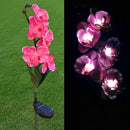 Solar Power 5 LED Flower Light Outdoor Garden Yard Lawn Landscape Lamp Decor