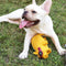 Dog Toys Squeaky Squeeze Sound Toy Ball Training Funny Interactive Rubber Chew Balls For Pet Products Dog Supplies From Xiaomi Youpin