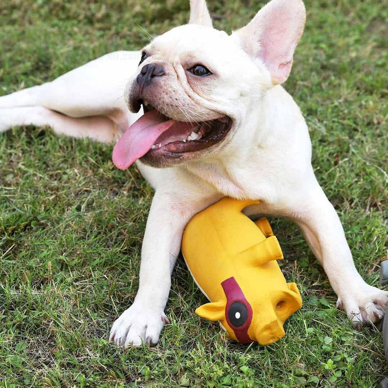 Dog Toys Squeaky Squeeze Sound Toy Ball Training Funny Interactive Rubber Chew Balls For Pet Products Dog Supplies From Xiaomi Youpin