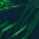 Tropical Plants Waterproof Shower Curtain Fabric With Hooks Ring Polyester Bathroom Rugs Mat