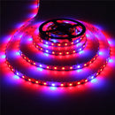 1M 2M 3M 4M 5M 3:1 5050 SMD LED Non-waterproof Hydroponic Plant Grow Strip Light DC12V
